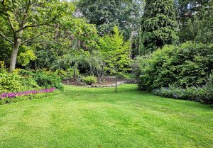Optimiser l'expérience du jardin à Nonant-le-Pin